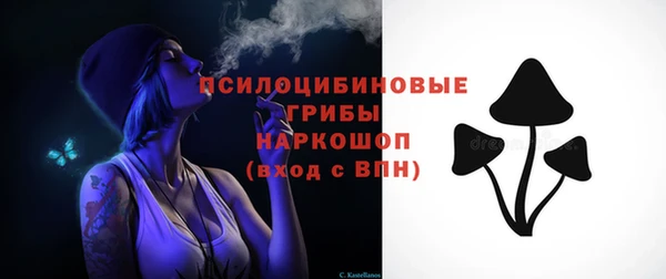 эйфоретик Белокуриха