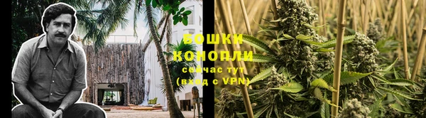 эйфоретик Белокуриха