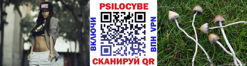 как найти наркотики Кубинка Псилоцибиновые грибы Psilocybe